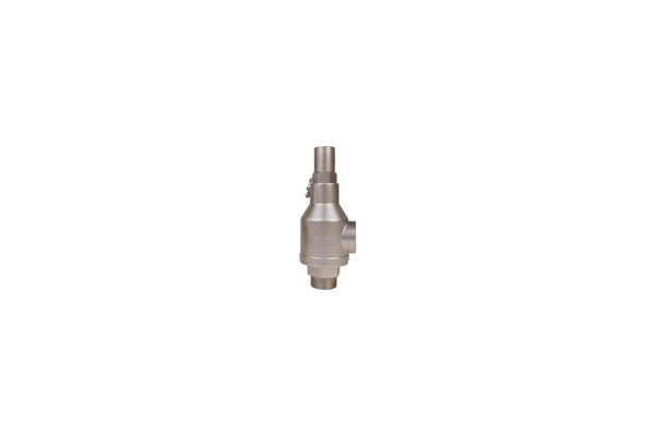thermal-relief-valve.jpg